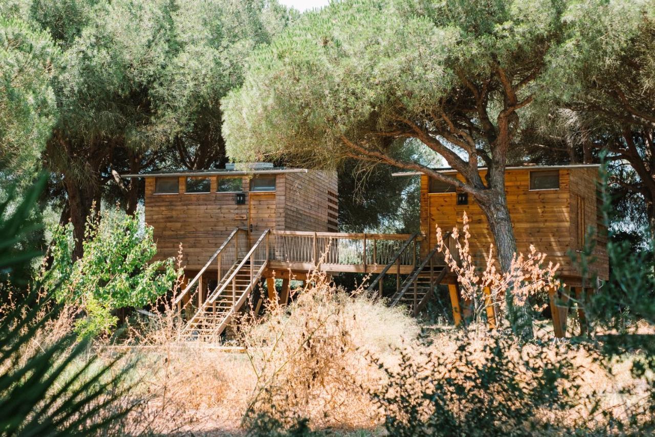 Micielo - Baumhaeuser Vejer de la Frontera Exterior photo